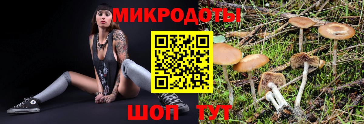 Псилоцибиновые грибы GOLDEN TEACHER Свободный