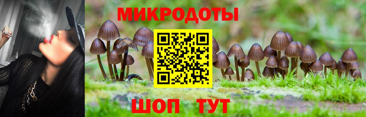 Свободный  Галлюциногенные грибы Cubensis  Вход с VPN  Галлюциногенные грибы Psilocybe 